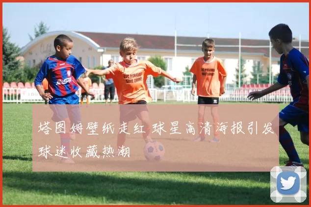 塔图姆壁纸走红 球星高清海报引发球迷收藏热潮