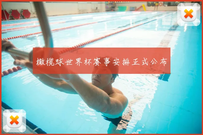 橄榄球世界杯赛事安排正式公布